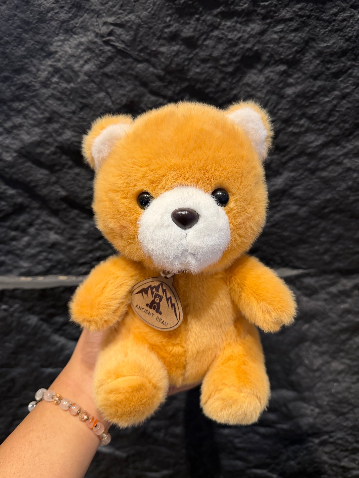 CozyBear