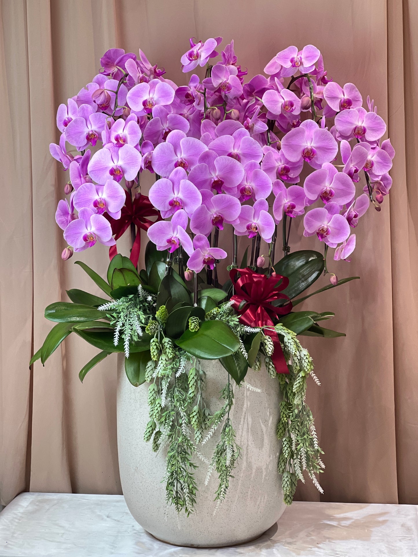 12 Stalks Phalaenopsis Orchid Arrangement