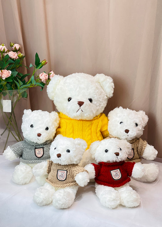 Assorted Sweater Bears