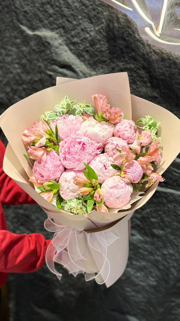 Blush Peony