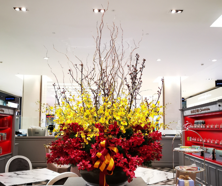 Dancing Lady On The Vase | Christmas Flower