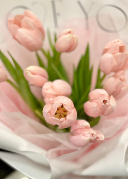 Maison Apricot Tulips (2024) | V-Day 2024