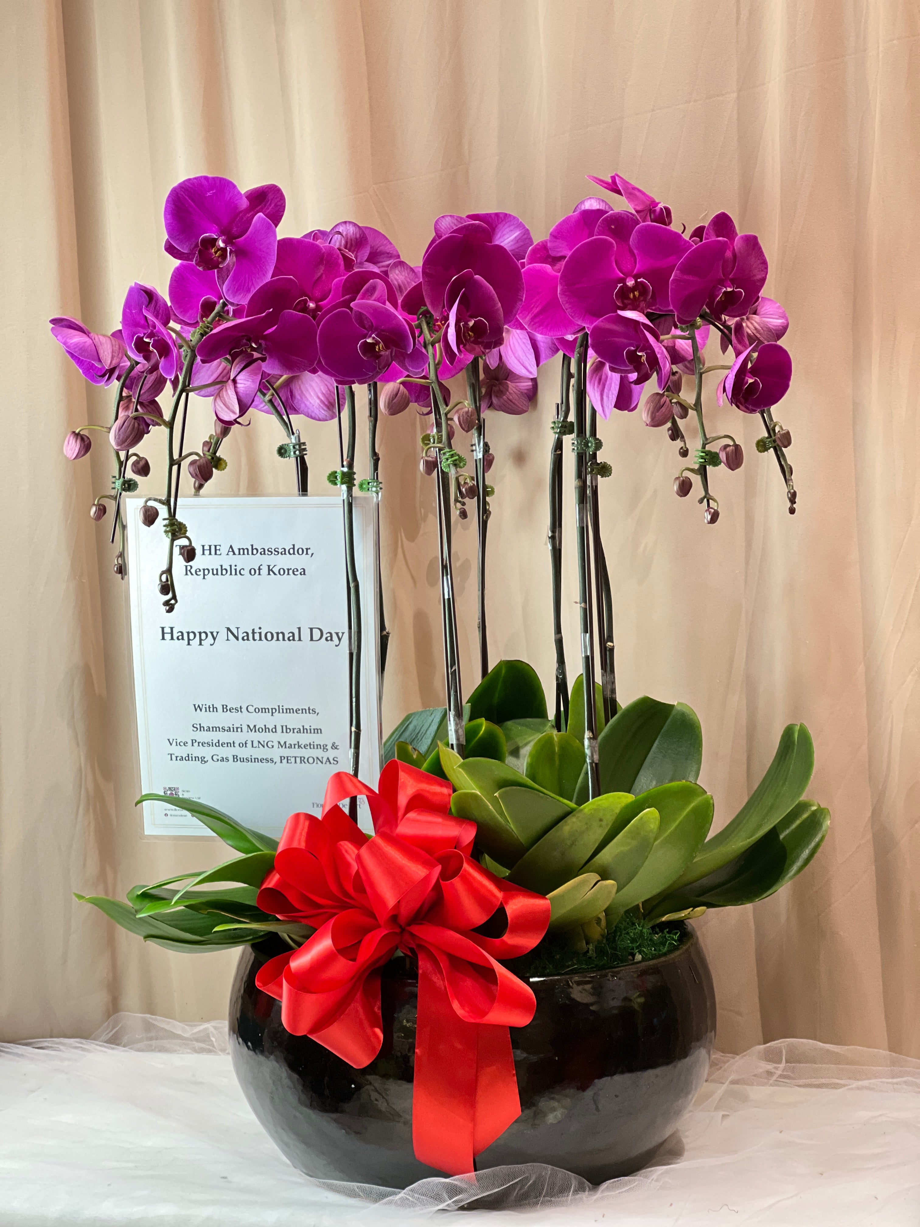 Orchid flower arrangement discount