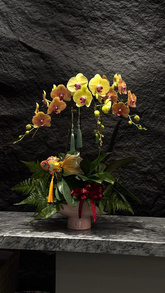 锦绣 · 春回锦府 Jin Xiu · Spring Returns Home