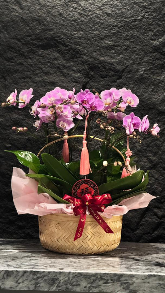 锦绣 · 绮梦江南 ⭐ Jin Xiu · Dream of Jiangnan