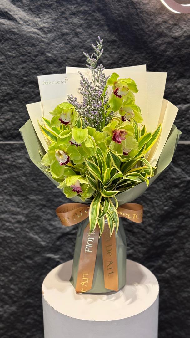 Cymbidium Elegance