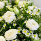 White Eustoma | Flower Bouquet