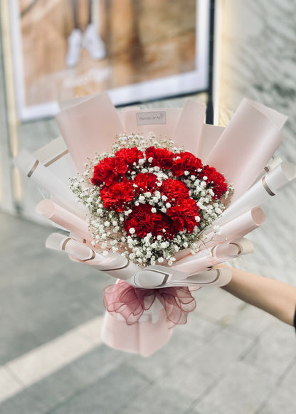 Isabella Red Carnations | Hand Bouquet