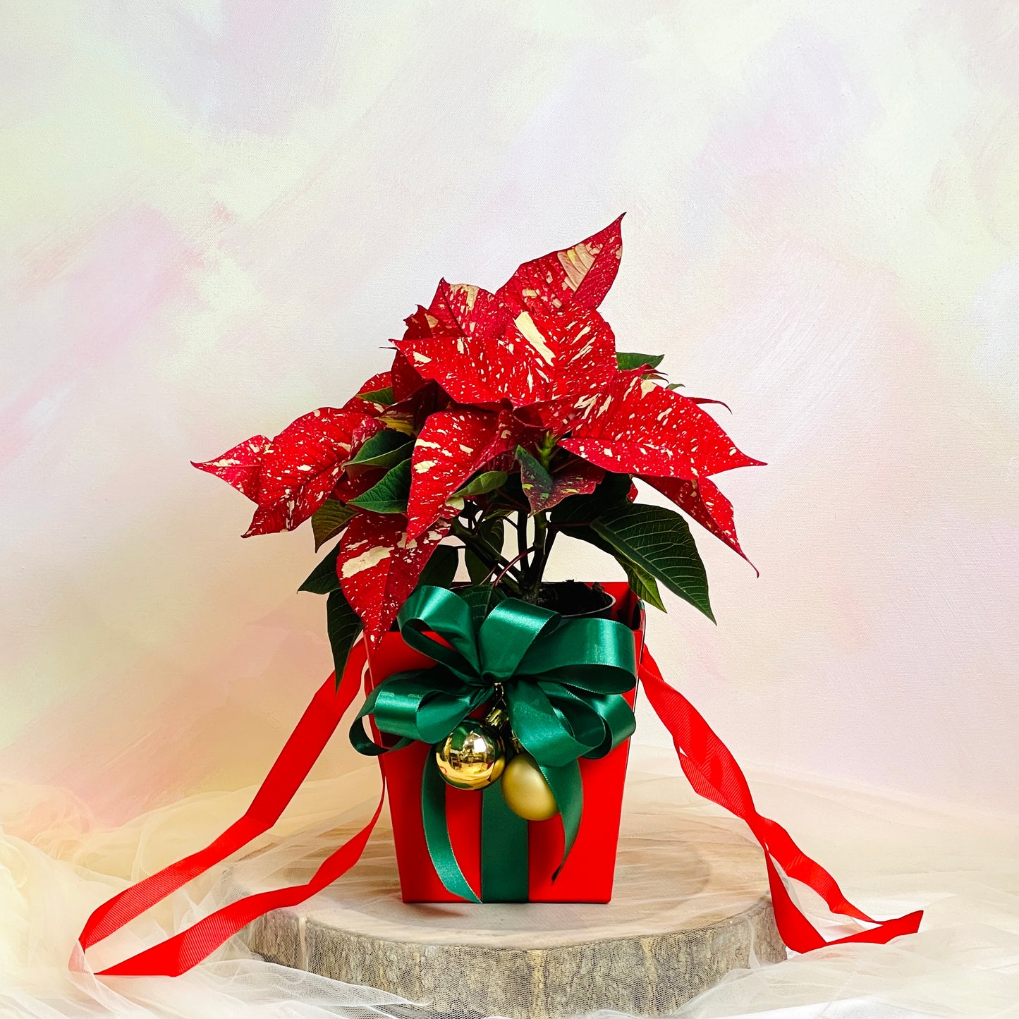 Poinsettia Christmas Box (Brushed Gold Red) | Christmas Gifting