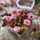 Heartfelt Strawberry Love Box | Flower and Fruit Box