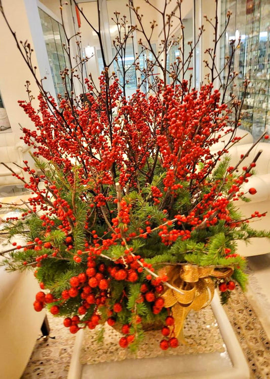 Ilex On The Pot | Christmas Decoration
