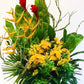 Blooming Laman | Ceramic Vase Arrangement